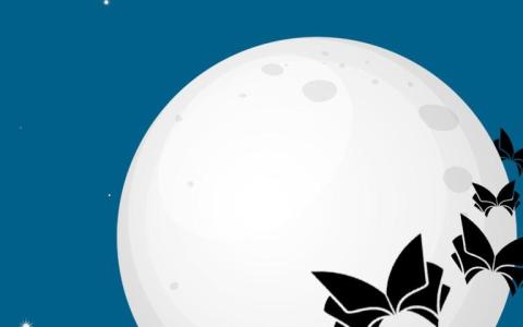 Lange Nacht der BibliOÖtheken